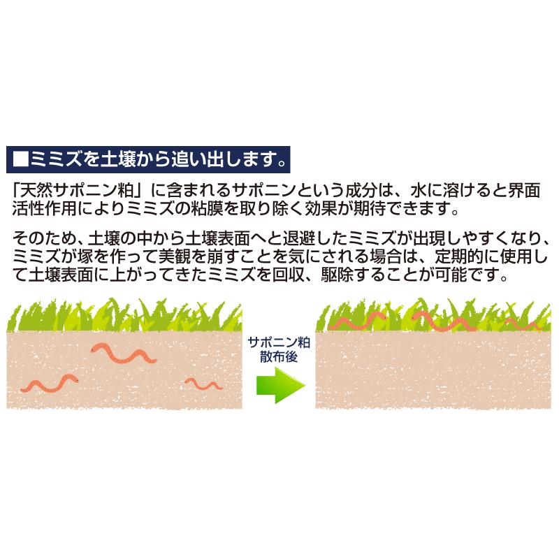 55 以上節約 天然サポニン粕 15kg入り ２袋セット 送料込 激安特価 Www Muslimaidusa Org