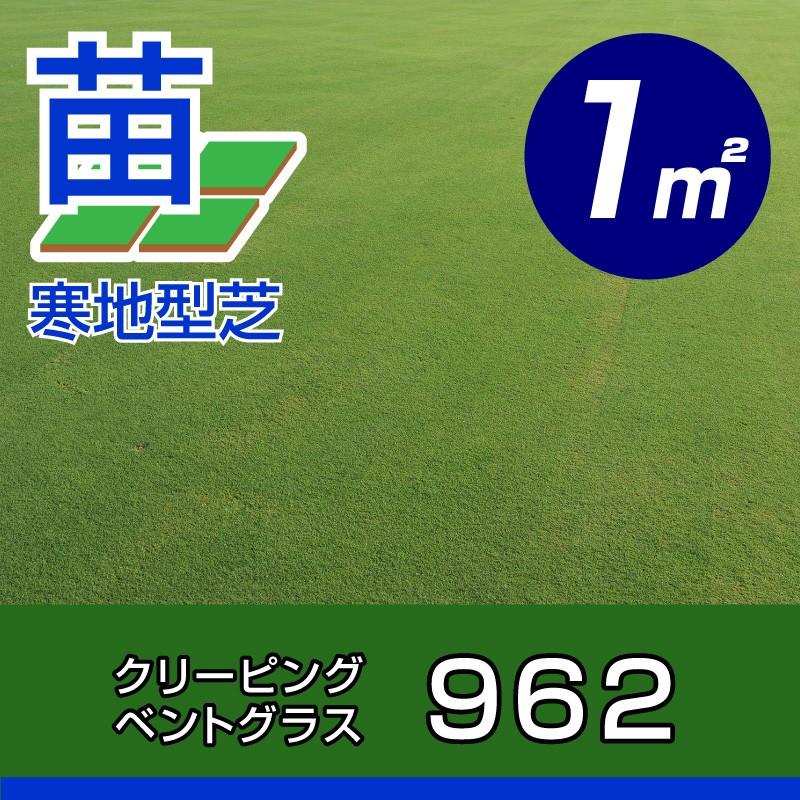 産地直送 送料無料 クリーピングベントグラス 962 張り芝用 １平米 約0 3坪分 962 St 芝生のことならバロネスダイレクト 通販 Yahoo ショッピング