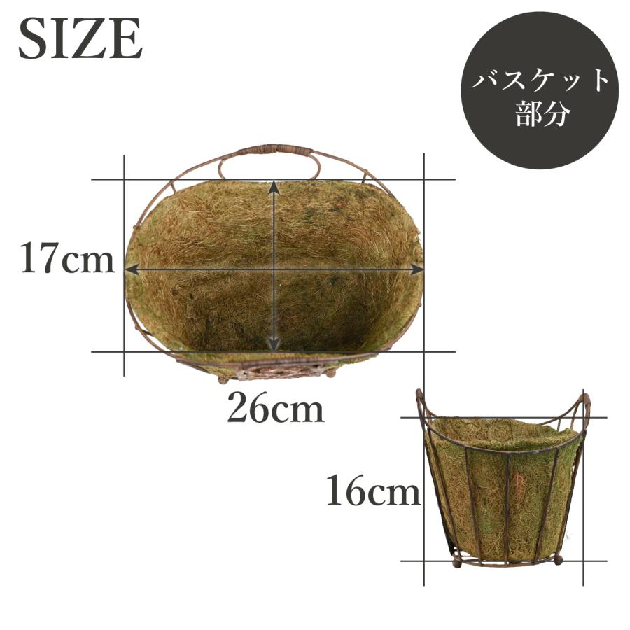 プランター用金属バスケット 楽天市場】ワイヤーバスケット ステンレス（植木鉢・プランター