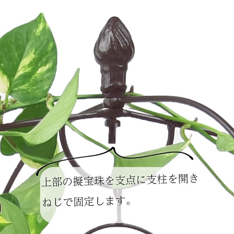バードケージ型トピアリー ラウンドタイプ ブラウン : 芝生のことなら