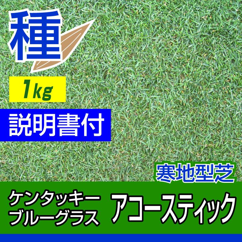 ケンタッキーブルーグラス アコースティック 1kg入 お庭の広さ12〜15坪