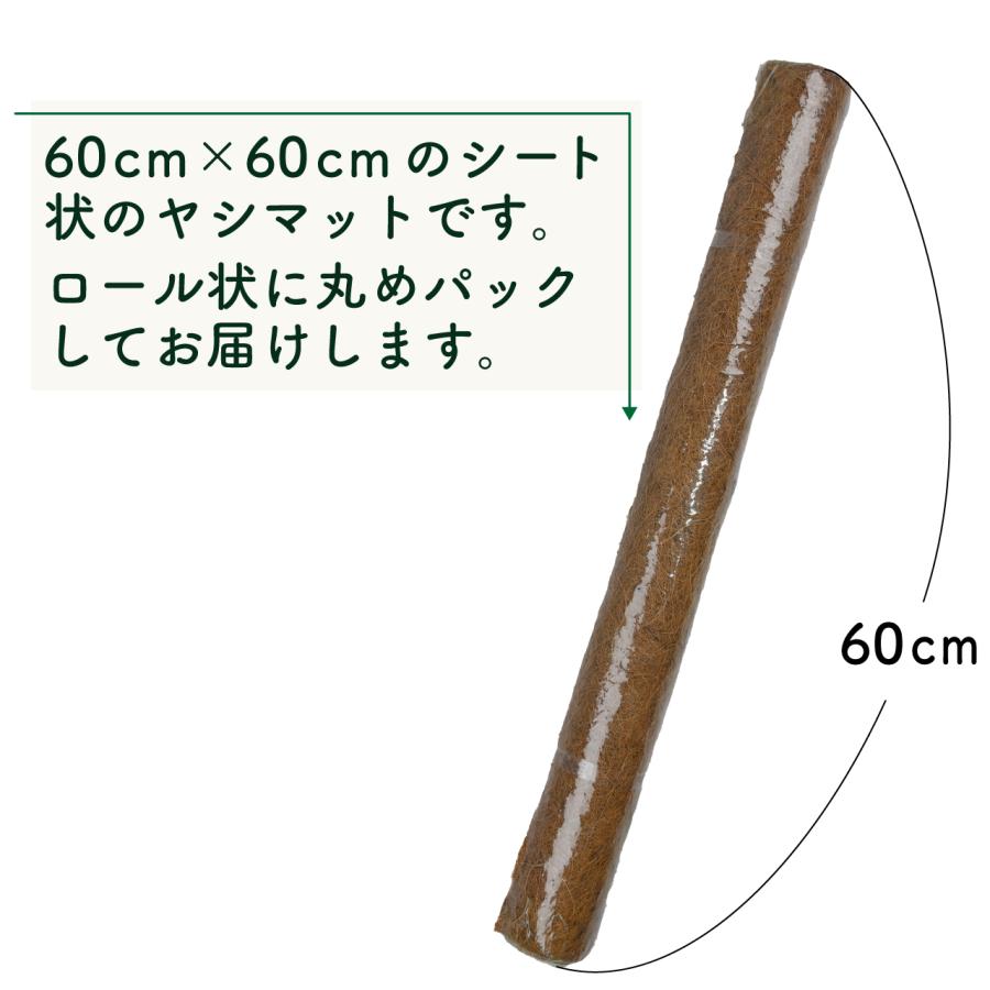 ヤシマット シート スクエア 60cm×60cm ナチュラル 2枚セット