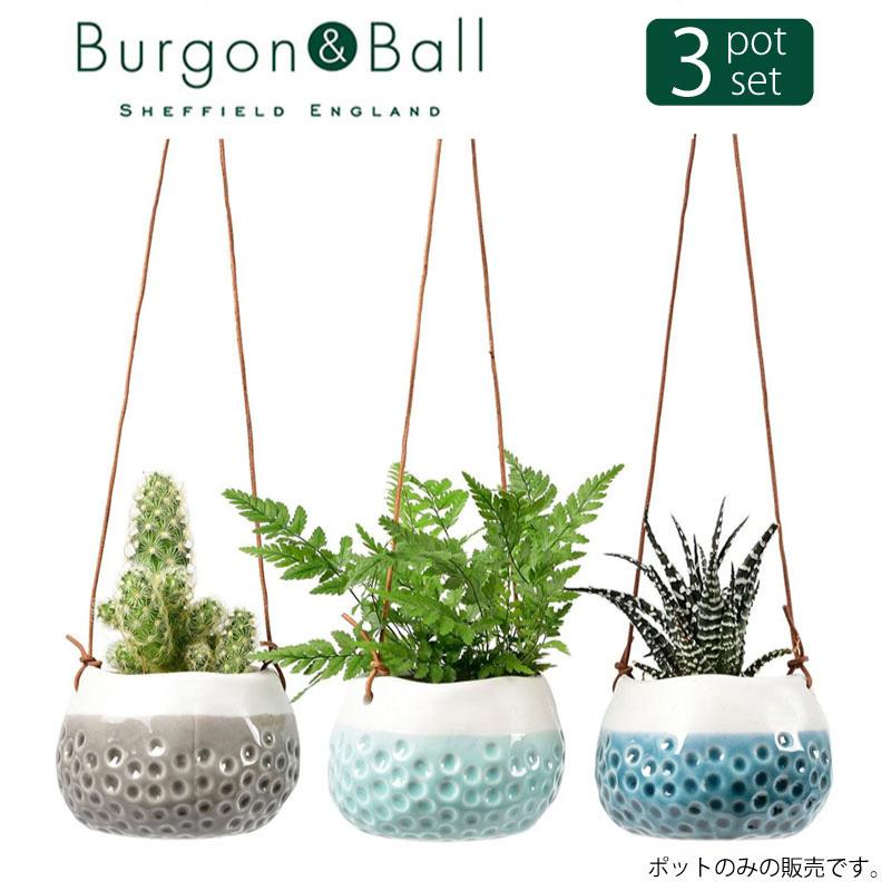 バーゴン&ボール Burgon&Ball ベイビードッティ ハンギング バーゴン&ボール Burgon&Ball ベイビードッティ ハンギング
