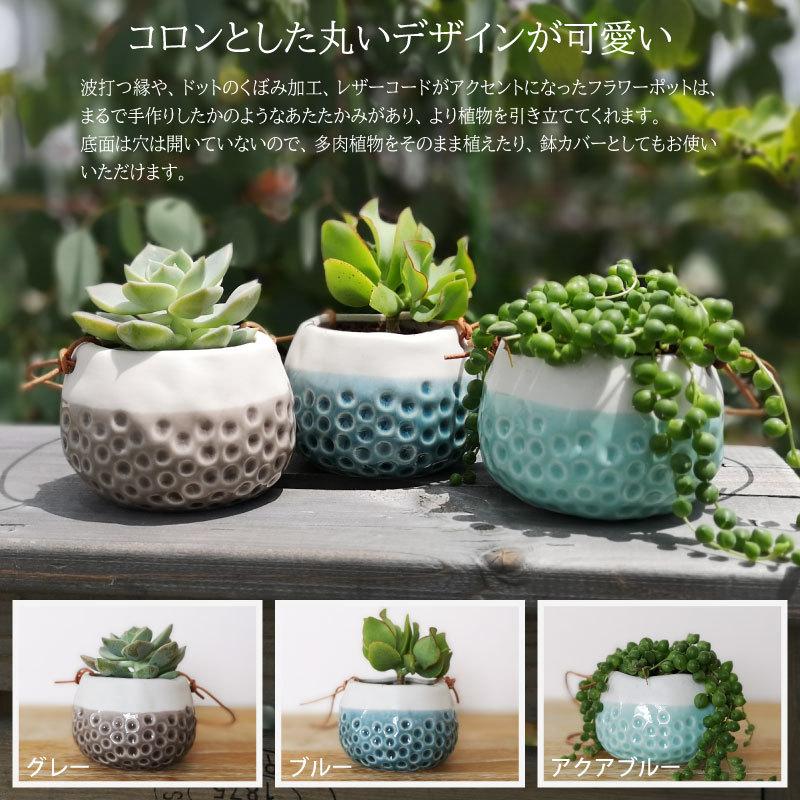 バーゴン&ボール（Burgon&Ball） ベイビードッティ ハンギングポット