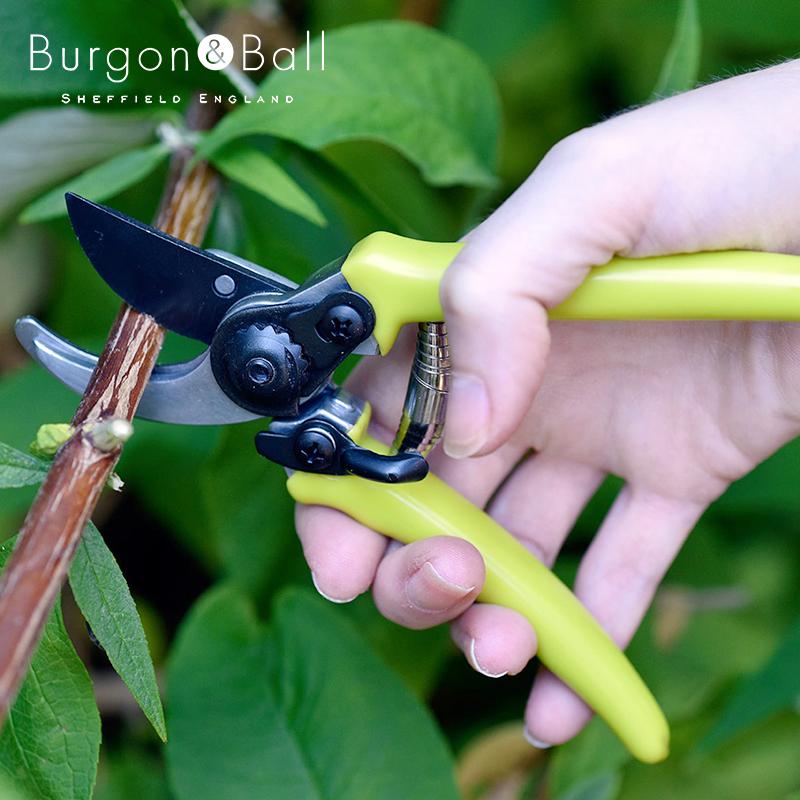 英国ブランド Burgon&Ball バイパスタイプ 剪定はさみ セイジ MAX10mm