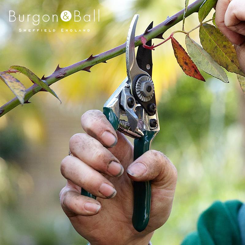英国ブランド Burgon&Ball バイパスタイプ 剪定はさみ グリーン