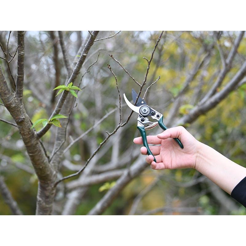 英国ブランド Burgon&Ball バイパスタイプ 剪定はさみ グリーン