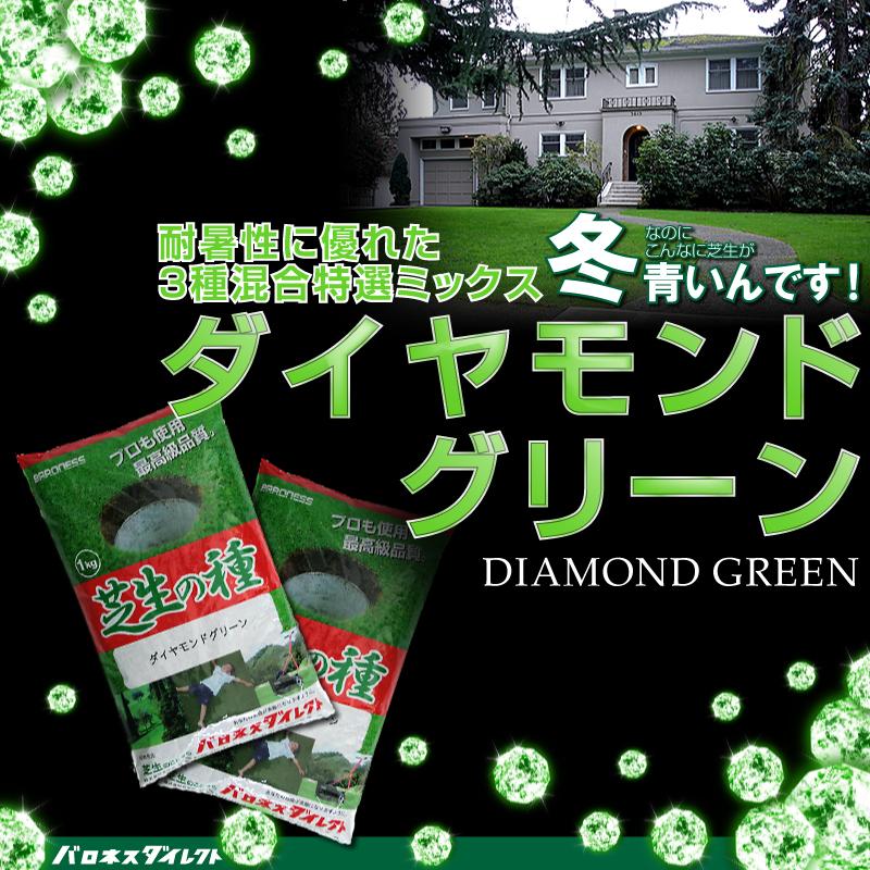 寒地型芝 はじめてセット 20平米(6坪)分 寒地型芝ダイヤモンドグリーン