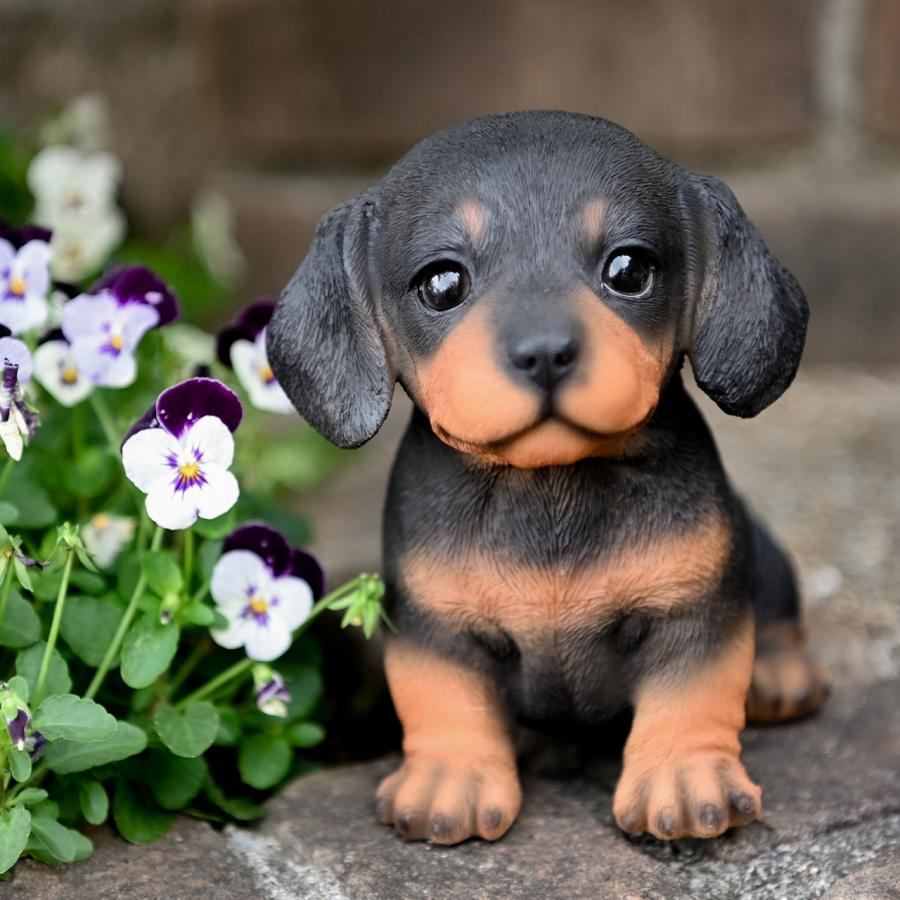 ガーデンオーナメント 子犬 ダックス コーギー 置物 オブジェ 屋外