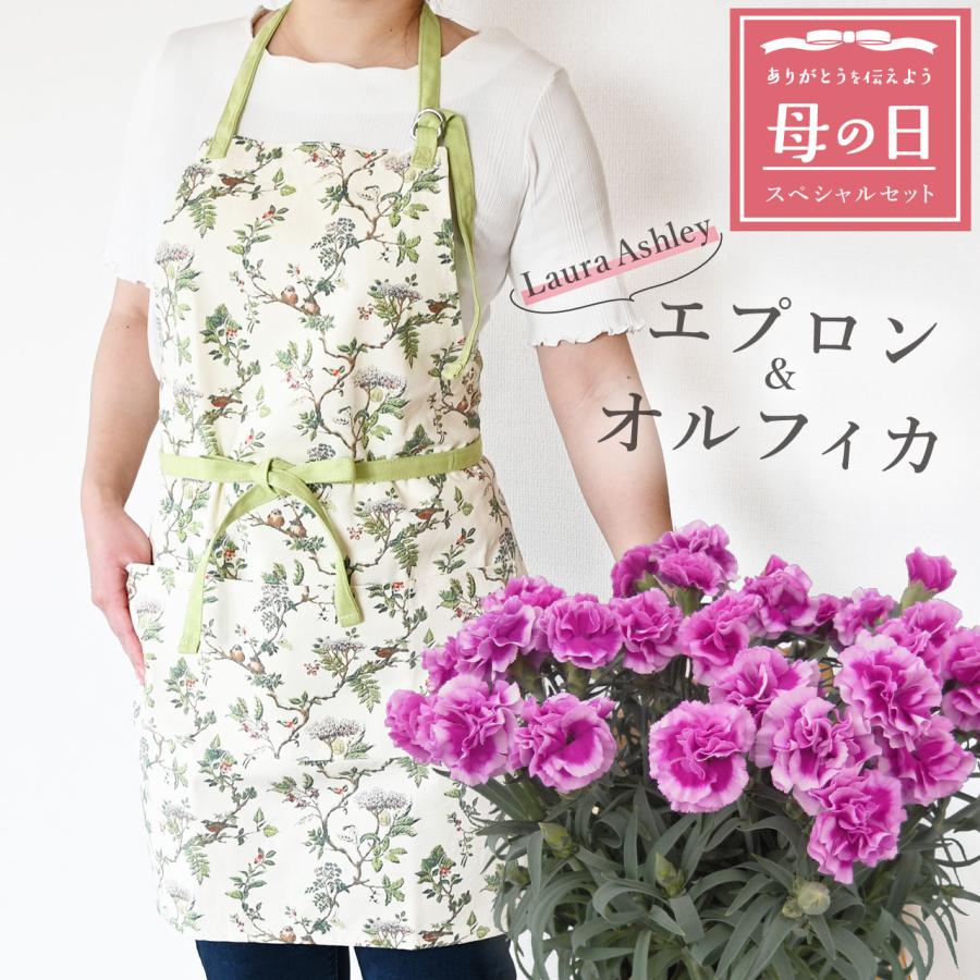 新品　タグ付き　バラ色の暮し エプロン 日本製 花柄 フリチラリア 母の日 エプロン レディース 女性用 花柄 フラワー バラ ローズ フリル リボン