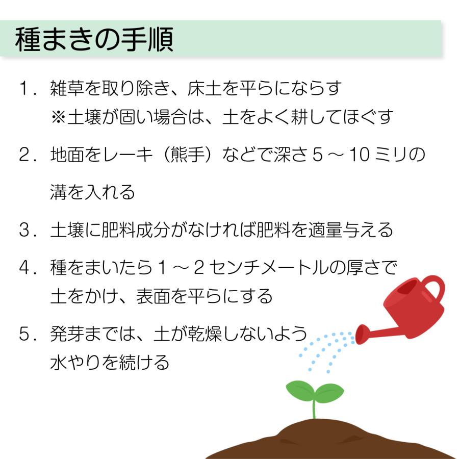 ダイカンドラ コート種子 1kg入り : 芝生のことならバロネスダイレクト