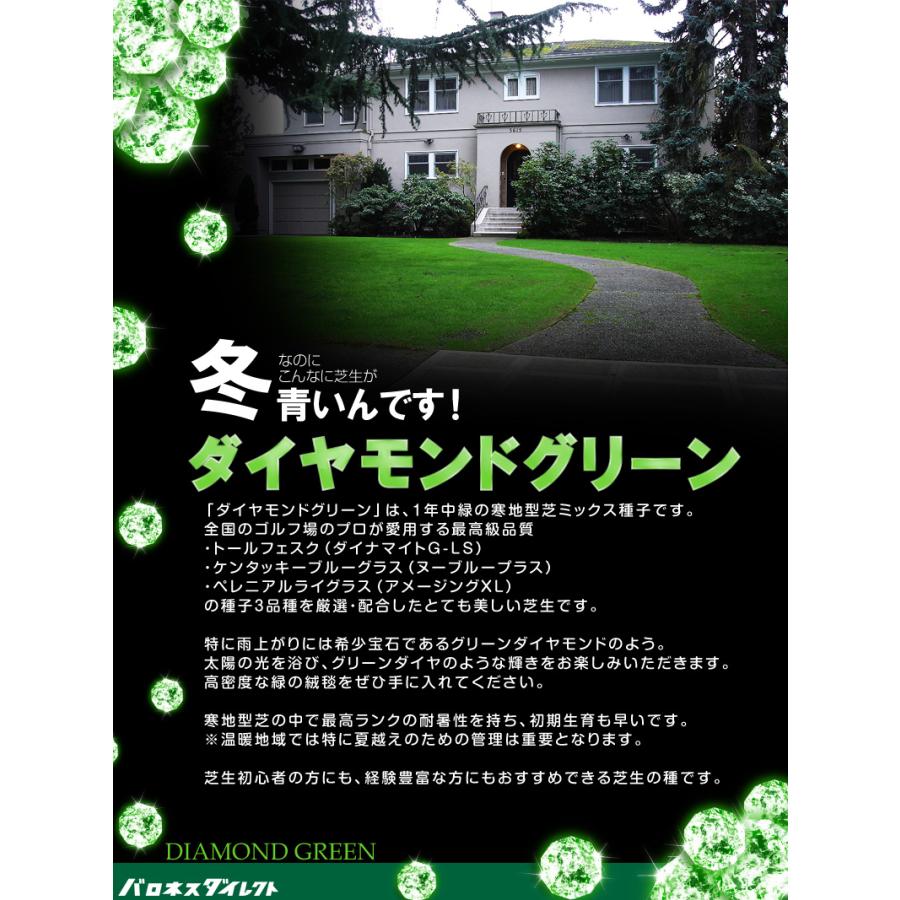 耐暑性に優れた特選ミックス/ダイヤモンドグリーン 1kg入り お徳用3袋セット １袋でお庭の広さ6〜7.6坪用 バロネス寒地型芝の種_1
