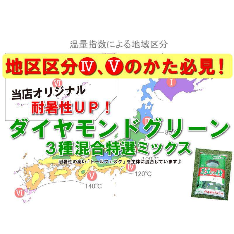 耐暑性に優れた特選ミックス/ダイヤモンドグリーン 1kg入り お徳用3袋セット １袋でお庭の広さ6〜7.6坪用 バロネス寒地型芝の種_3