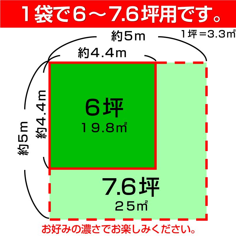 耐暑性に優れた特選ミックス/ダイヤモンドグリーン 1kg入り お徳用3袋セット １袋でお庭の広さ6〜7.6坪用 バロネス寒地型芝の種_4