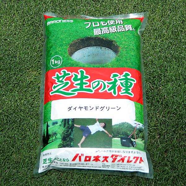 耐暑性に優れた特選ミックス/ダイヤモンドグリーン 1kg入り お徳用3袋セット １袋でお庭の広さ6〜7.6坪用 バロネス寒地型芝の種_5