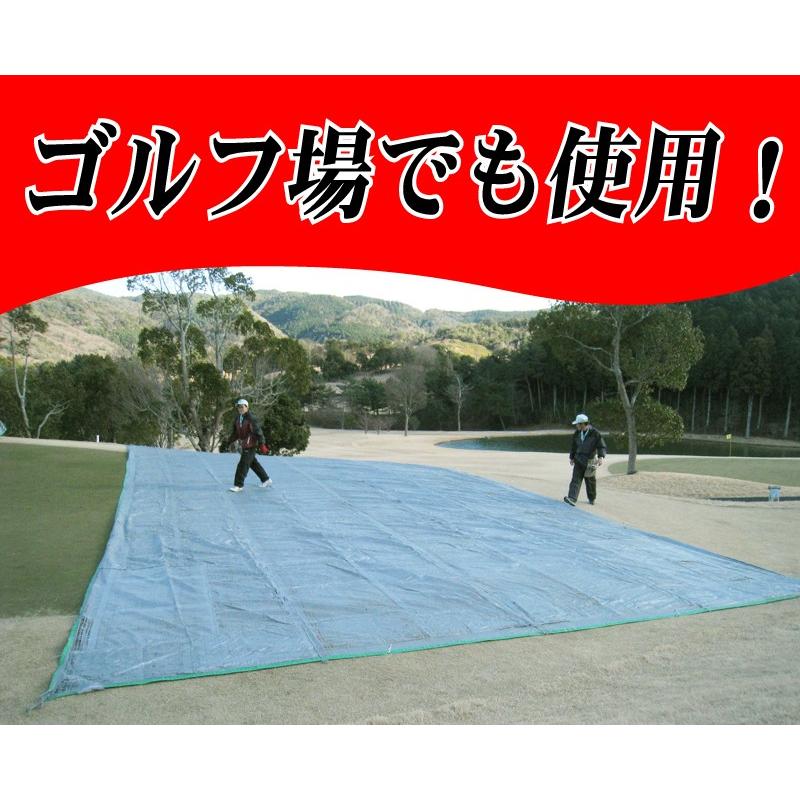 冬用・耐霜用 芝生用寒冷紗ミラークロス88ME 2m×5m : 芝生のことなら