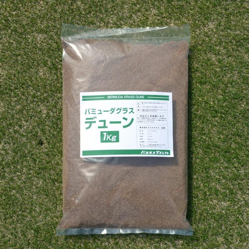 芝 芝生 種 暖地型 バミューダグラス デューン 1kg｜baroness｜02