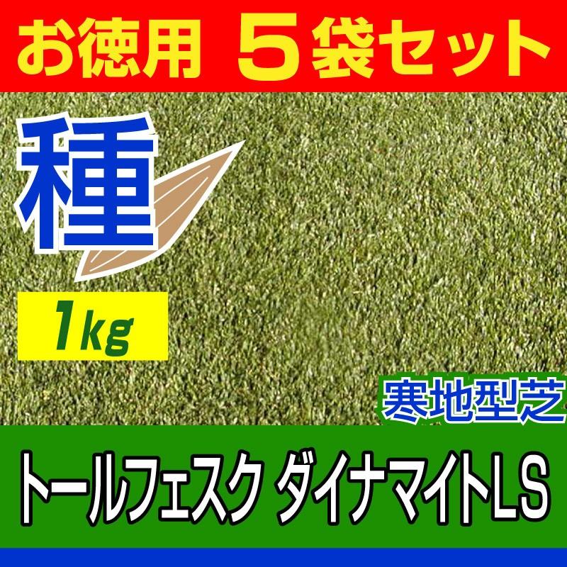 芝生 種 トールフェスク ダイナマイトls 1kg お徳用5袋セット Dynamite Ls 5 芝生のことならバロネスダイレクト 通販 Yahoo ショッピング