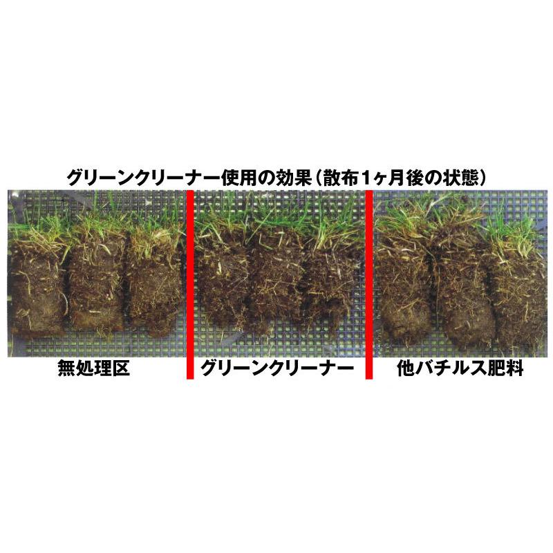 サッチ分解促進剤入り芝生専用肥料グリーンクリーナー 5kg入り Ejfgc 5 芝生のことならバロネスダイレクト 通販 Yahoo ショッピング