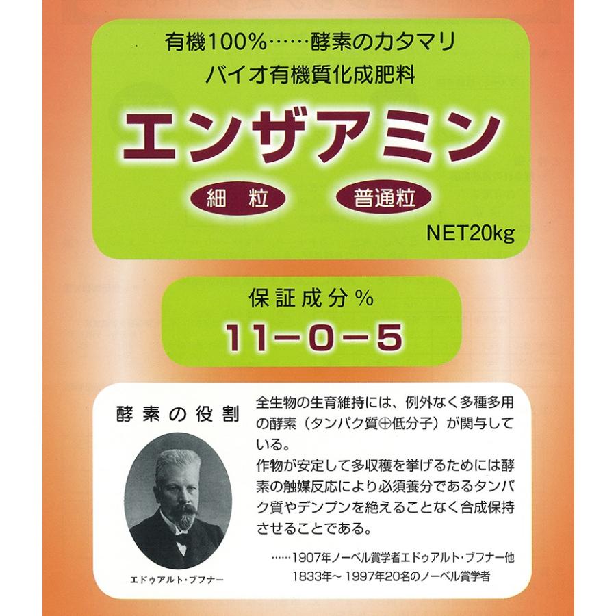 バイオアミド 活力剤 20L バイオスティミュラント活力液：X-ENERGY(エックスエナジー