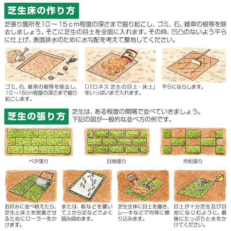 芝生 目土 バロネス 芝生の目土・床土 10kg×3個セット :fe-smetuti:芝生のことならバロネスダイレクト - 通販 - Yahoo!ショッピング 芝生 目土 バロネス 芝生の目土・床土 10kg×3個セット :fe-smetuti:芝生のことならバロネスダイレクト - 通販 - Yahoo!ショッピング
