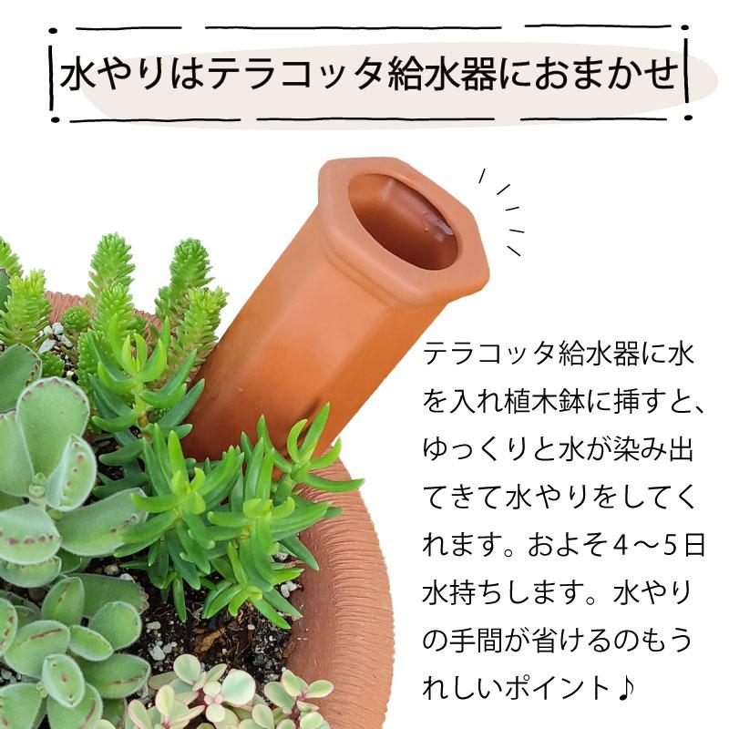 esschert design テラコッタ製給水スパイクとウォータリンググラスの