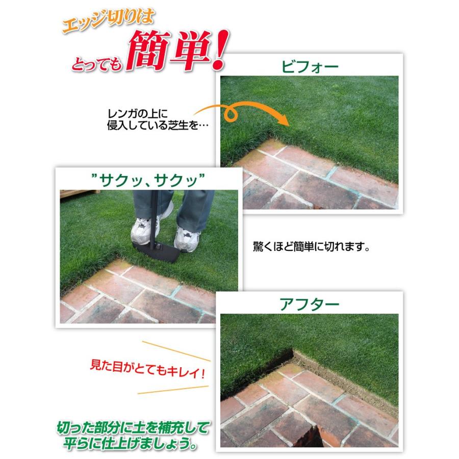 バロネス ターフカッター 芝生 根切り エッジ キワ : 芝生のこと バロネス ターフカッター 芝生 根切り エッジ キワ : 芝生のこと