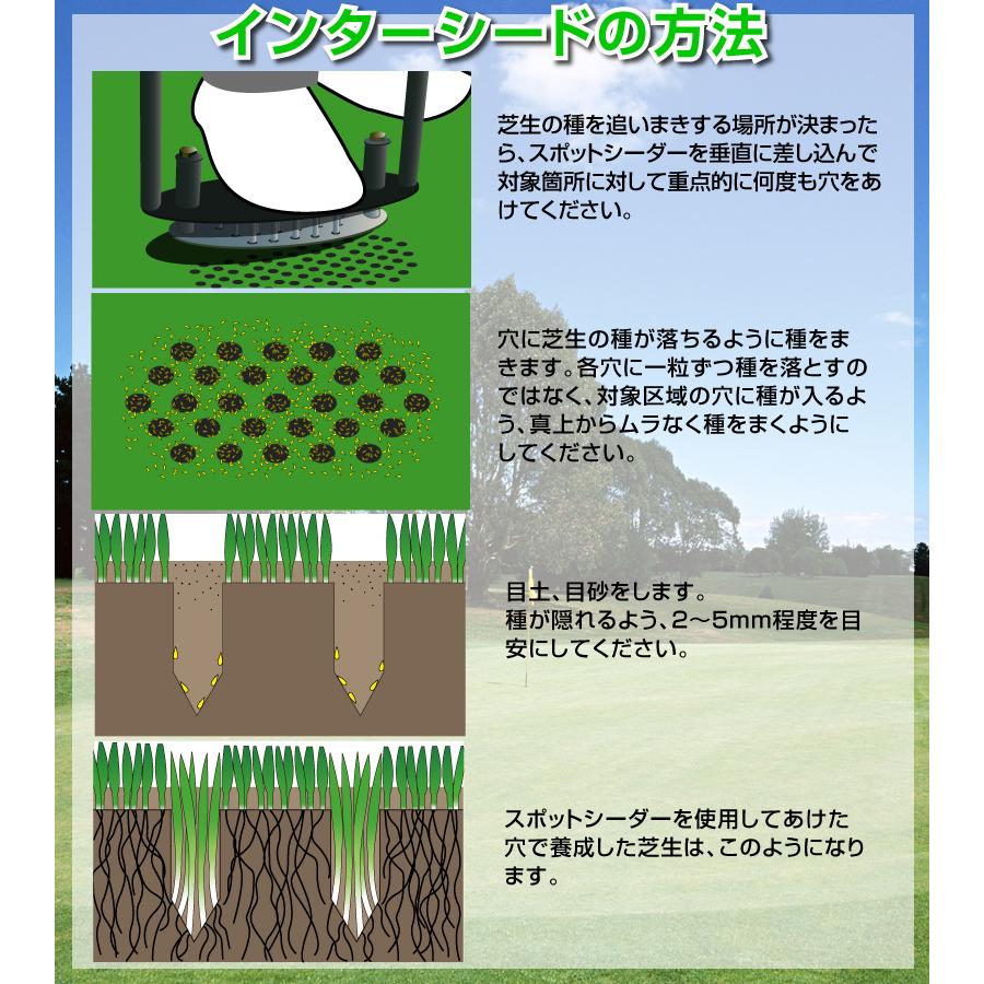 バロネス スポットシーダー・スパイカー インターシード バロネス スポットシーダー・スパイカー 組立要 インターシード用