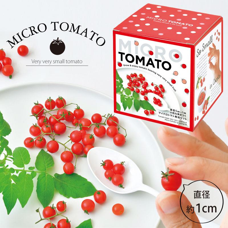 種から育てる世界でもっとも小さいマイクロトマト 栽培セット ギフト Gd 903 芝生のことならバロネスダイレクト 通販 Yahoo ショッピング
