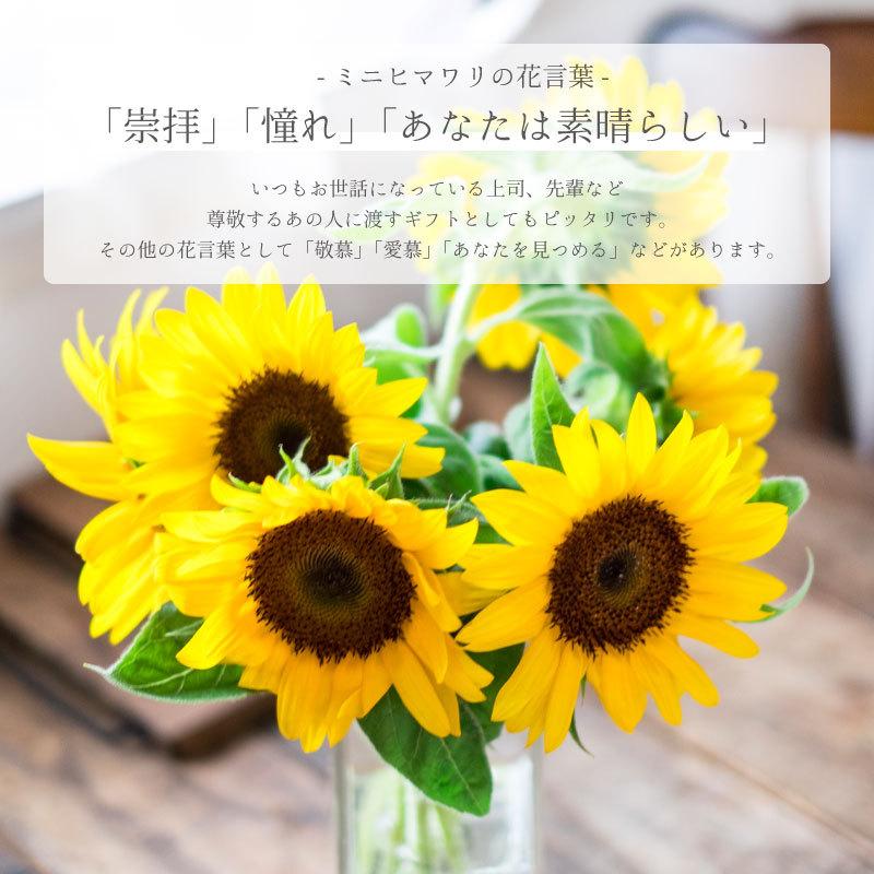エンジョイプランターフラワー ミニヒマワリ 栽培セット ギフト Gd 931 芝生のことならバロネスダイレクト 通販 Yahoo ショッピング