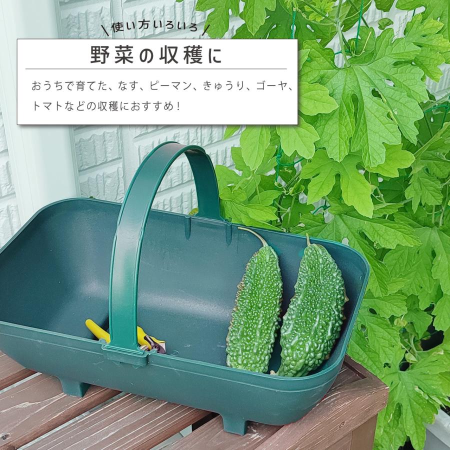 英国 Garland ガーランド ガーデントラッグ プラスチック 持ちやすい