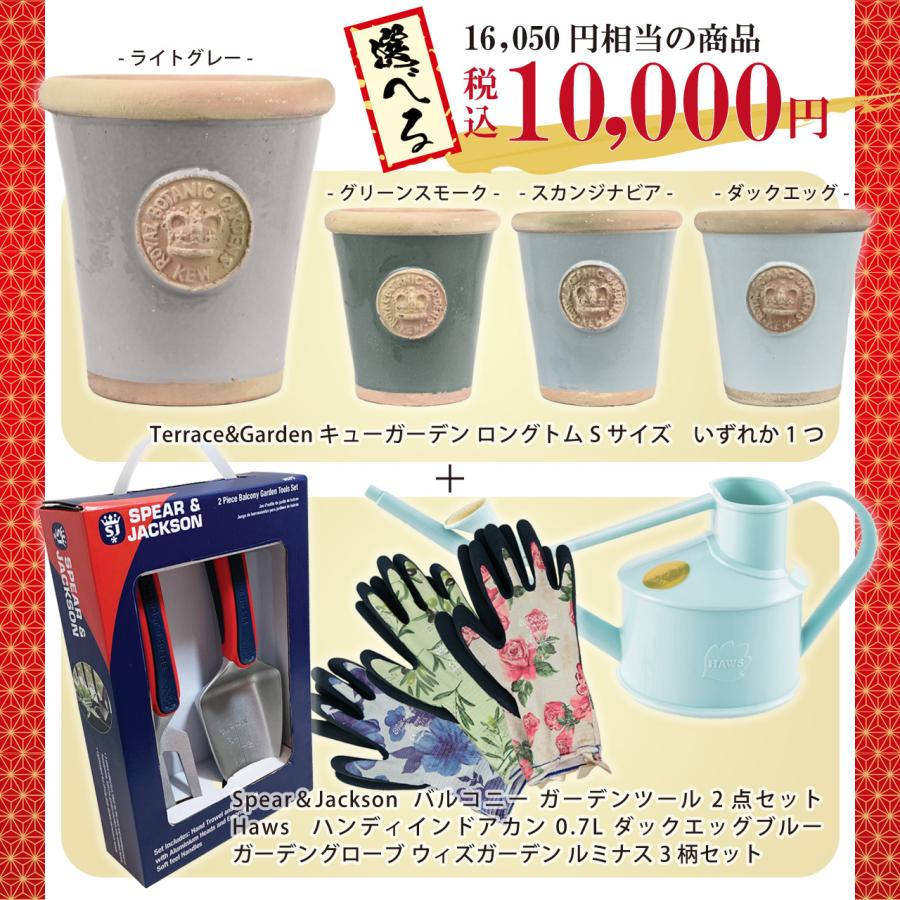 2袋set】新品未開封 シボラナイト2 新春！2026スマイルSALE