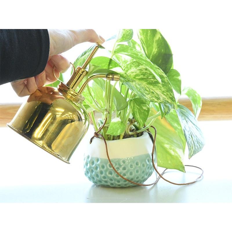 HAWS 英国 グリーン メタル インドアカン1L＆ミストスプレー ジョーロ