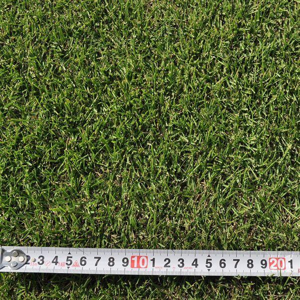 ９月下旬頃販売再開予定 産地直送 宮崎産 姫高麗芝 張り芝用 ２平米 0 6坪分 芝生 暖地型 天然芝 園芸 Himekorai M 芝生のことならバロネスダイレクト 通販 Yahoo ショッピング