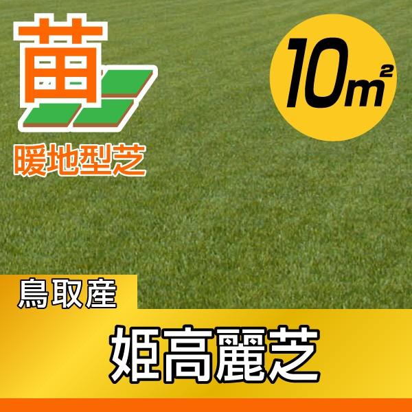 １０平米 姫高麗芝 鳥取産 張り芝用 10平米 ３坪分 プレミアム苗 暖地型 天然芝 産地直送