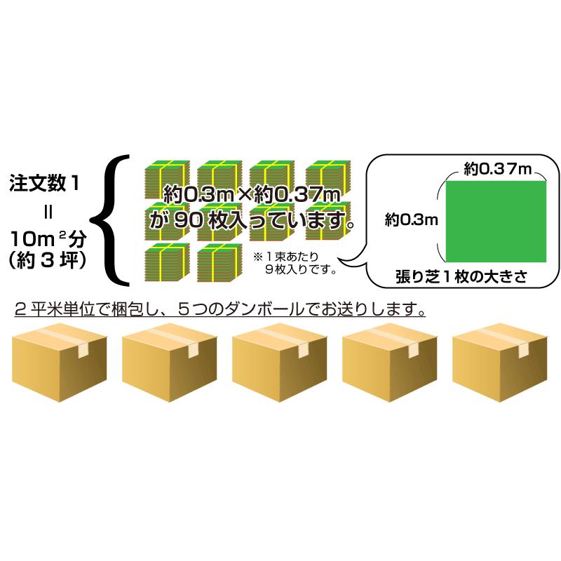 １０平米 姫高麗芝 鳥取産 張り芝用 10平米 ３坪分 プレミアム苗 暖地型 天然芝 産地直送_7