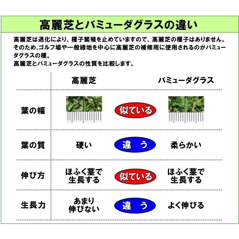 予約注文品 約1週間で出荷 ハイブリッド バミューダグラス ハリウッド 11 34kg入 お庭の広さ3 305坪用 暖地型芝の種 多年草 発芽適温摂氏度以上です Hollywood 11kg 芝生のことならバロネスダイレクト 通販 Yahoo ショッピング