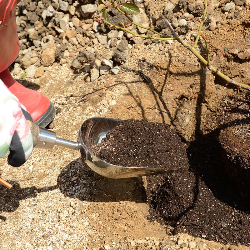 スコップ フォーク セット Spear&Jackson トラディショナル ステンレス