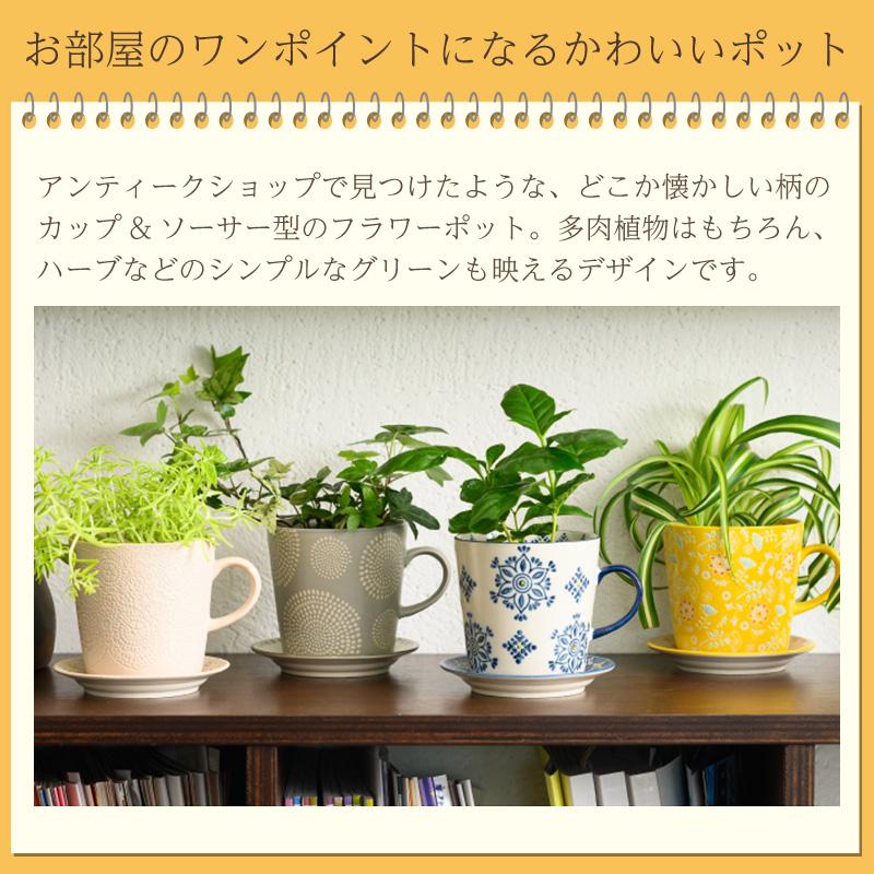 フラワーポット 直径10cm 3号 カップ＆ソーサー 鉢底穴あり マグカップ