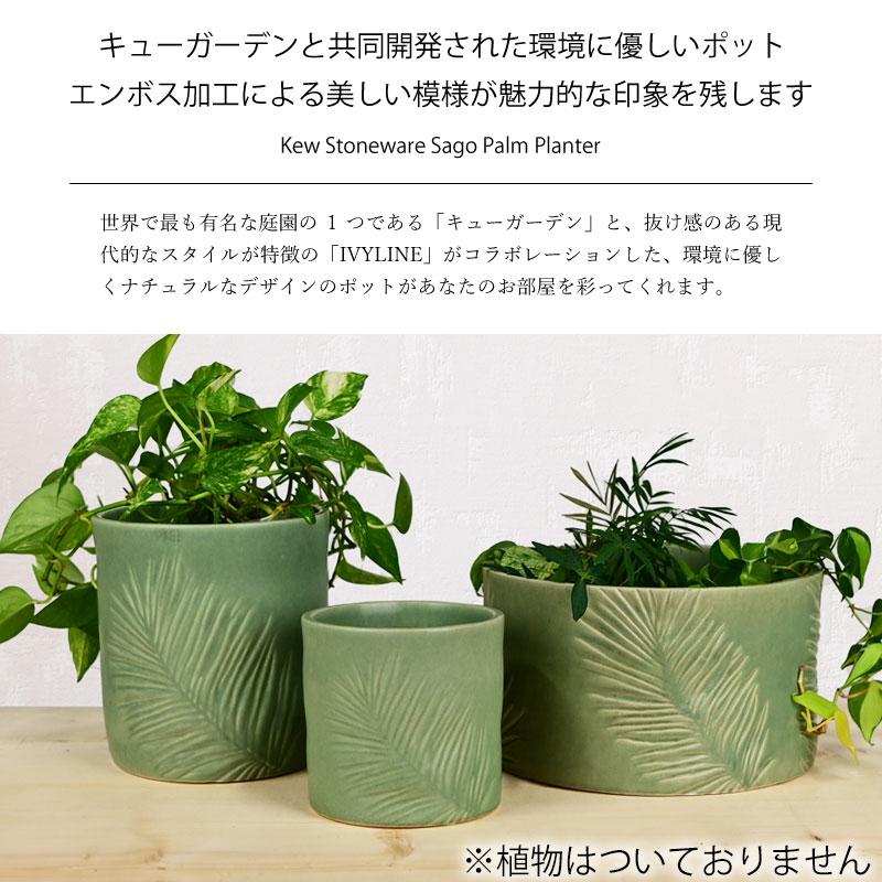 IVYLINE キュー・ストーンウェア サコパーム プランター 直径約14cm