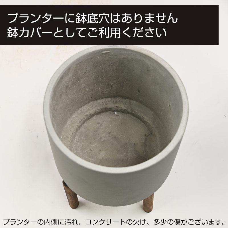 IVYLINE ヴィーゴ コンクリート プランターカバー ウッドスタンド付