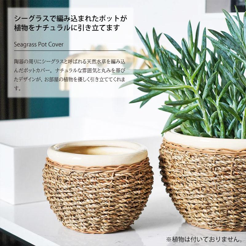 IVYLINE シーグラス ポットカバー ナチュラル 直径23cm 鉢 カバー 陶器