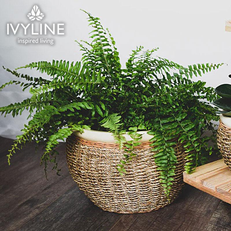 IVYLINE シーグラス ポットカバー ナチュラル 直径30cm 鉢 カバー 陶器