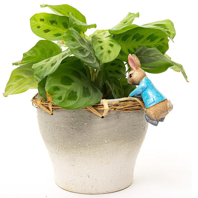 ピーターラビット ポットハンガー ぶらさがり ひっかけ 植木鉢