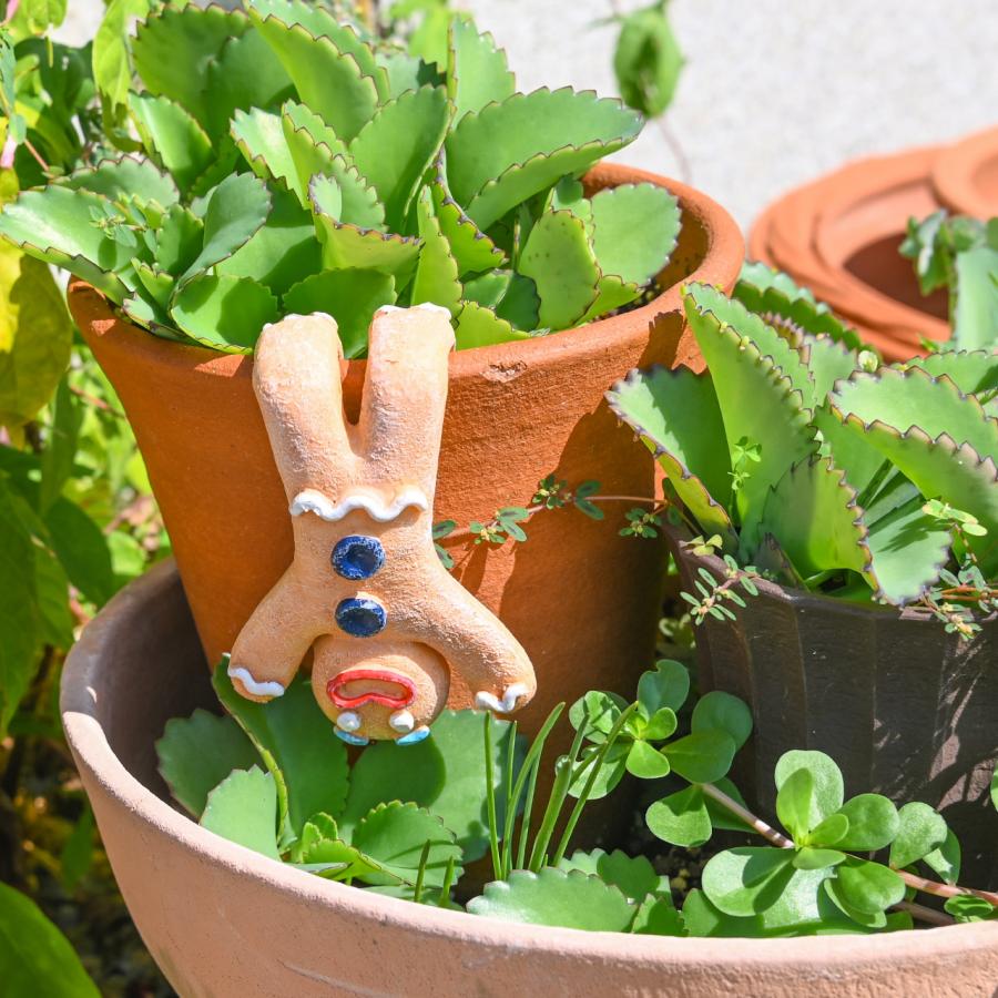 クリスマス ジンジャーブレッドマン ポットハンガー ひっかけ 植木鉢