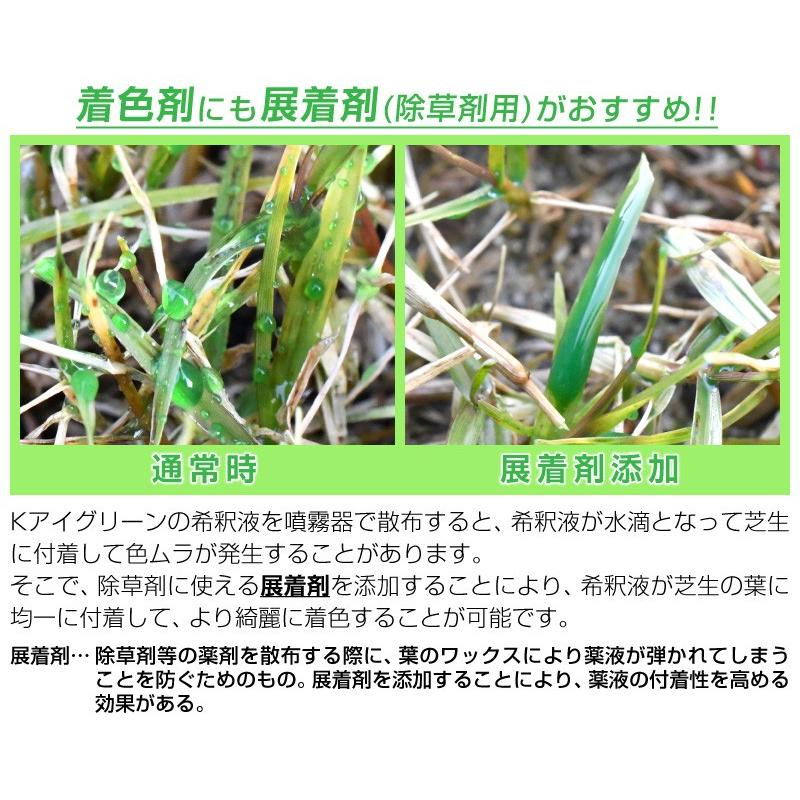 芝生 着色剤 冬も緑に バロネス Ｋアイグリーン 1kg入り :K-IGREEN:芝生のことならバロネスダイレクト - 通販 -  Yahoo!ショッピング