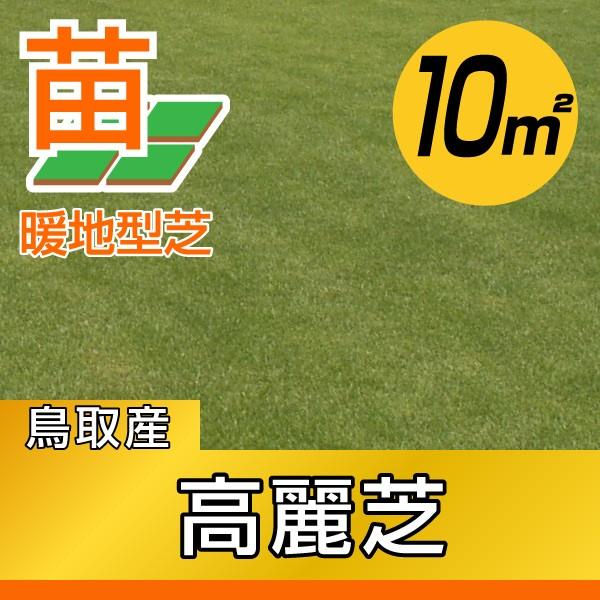 １０平米 高麗芝 鳥取産 張り芝用 10平米 ３坪分 プレミアム苗 暖地型 天然芝 産地直送