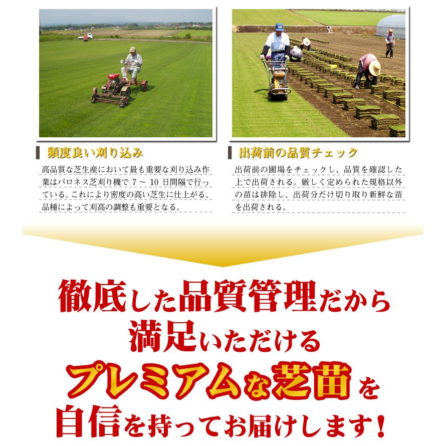 １０平米 高麗芝 鳥取産 張り芝用 10平米 ３坪分 プレミアム苗 暖地型 天然芝 産地直送_4