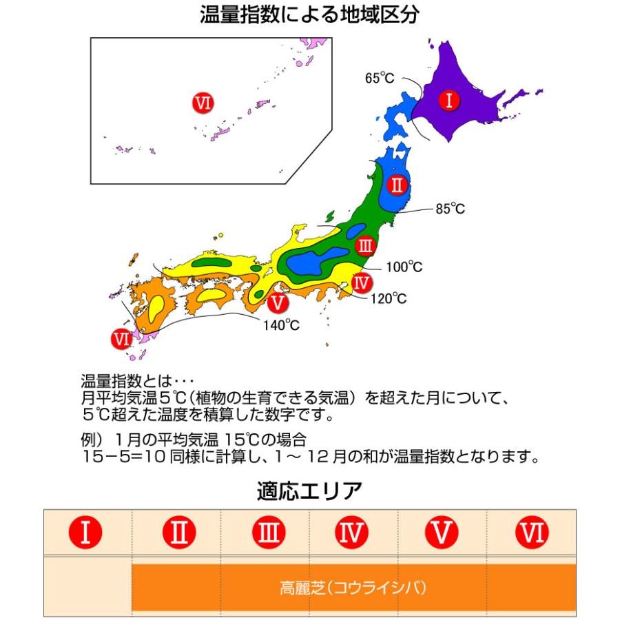 １０平米 高麗芝 鳥取産 張り芝用 10平米 ３坪分 プレミアム苗 暖地型 天然芝 産地直送_6
