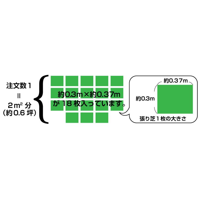 2平米 高麗芝 鳥取産 張り芝用 0.6坪分 プレミアム苗 暖地型 天然芝